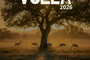  ¡VUELVE MORALEJA VUELA CON MÁS PREMIOS Y UNA NUEVA CATEGORÍA JUVENIL! 