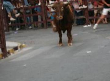 FIESTA SAN BUENAVENTURA 2012