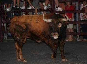 FIESTA SAN BUENAVENTURA 2012