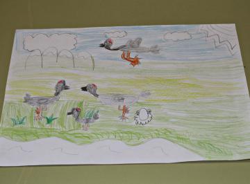 GANADORES/AS CONCURSO DE DIBUJO INFANTIL LAS GRULLAS