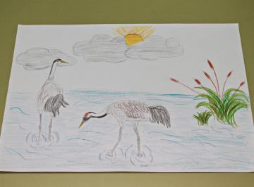 GANADORES/AS CONCURSO DE DIBUJO INFANTIL LAS GRULLAS