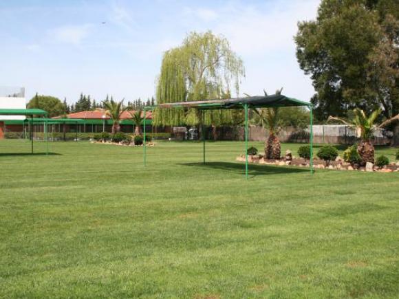 NUEVO CÉSPED PARA LA PISCINA MUNICIPAL DE MORALEJA