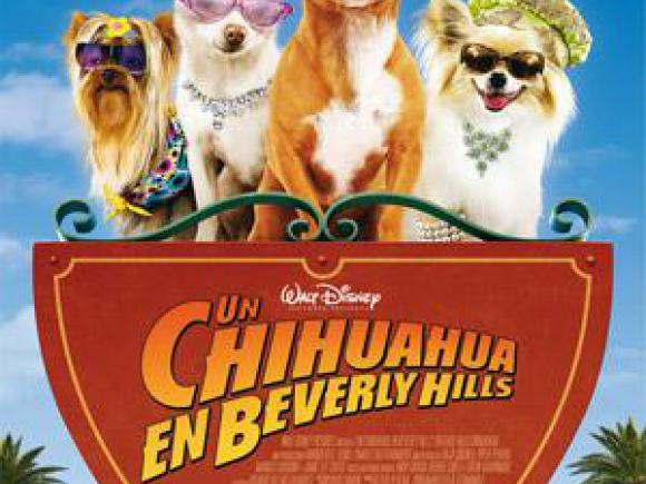 Un CHIHUAHUA EN BEVERLY HILLS se proyectará en Moraleja