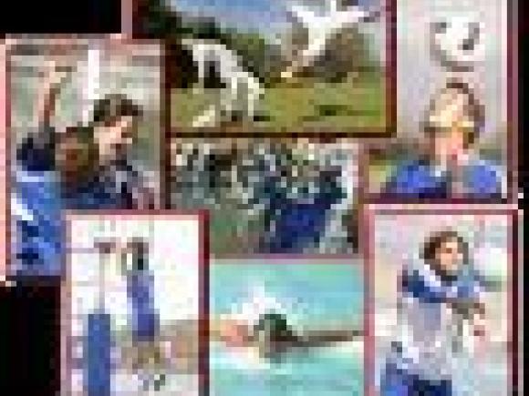 ESTÁ ABIERTO EL PLAZO DE SOLICITUD DE HORAS DE ENTRENAMIENTO, PABELLON MUNICIPAL Y CAMPOS DE FÚTBOL
