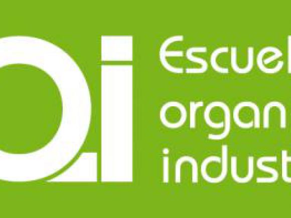 PROGRAMA DE CONSOLIDACIÓN DE EMPRESAS