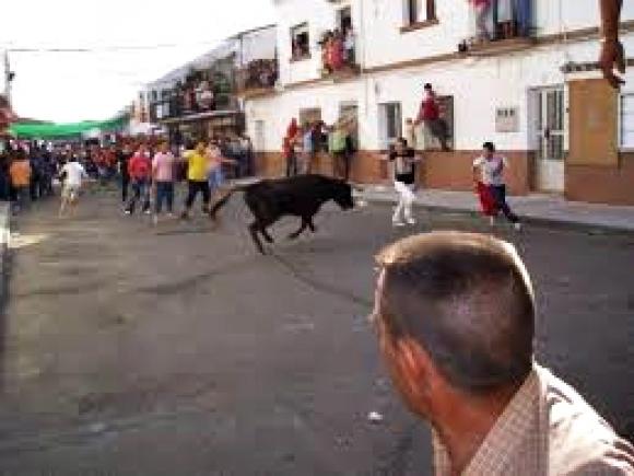 foto fiesta 1 de mayo