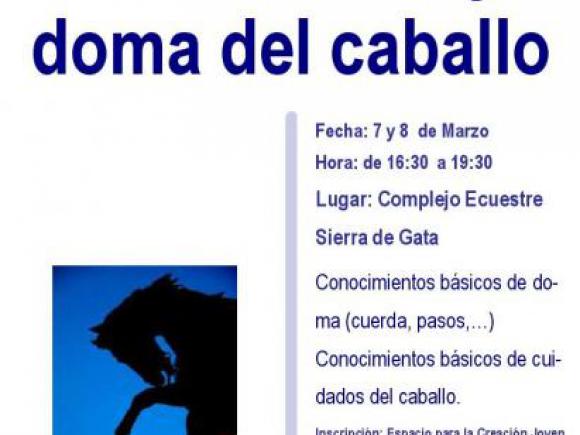 TALLER DE INICIACIÓN A LOS CUIDADOS Y LA DOMA DEL CABALLO