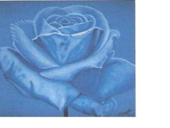 EXPOSICIÓN DE PINTURA, NATURALEZA, CON TEMAS "FLORAL Y CANTOS"