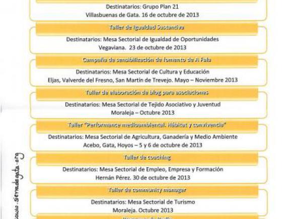ADISGATA PROCESO DE PARTICIPACIÓN SOCIAL 2013