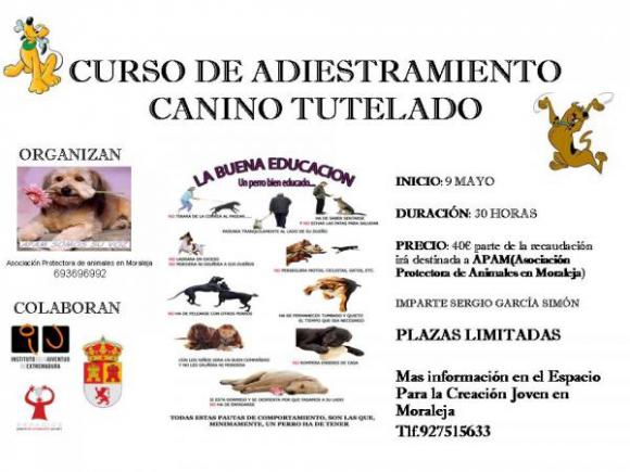 CURSO DE ADIESTRAMIENTO CANINO TUTELADO