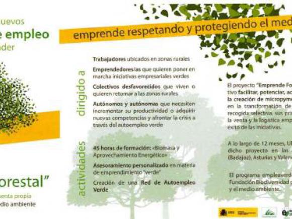 CURSO DE BIOMASA GRATUITO DIRIGIDO A AUTÓNOMOS Y TRABAJADORES POR CUENTA AJENA