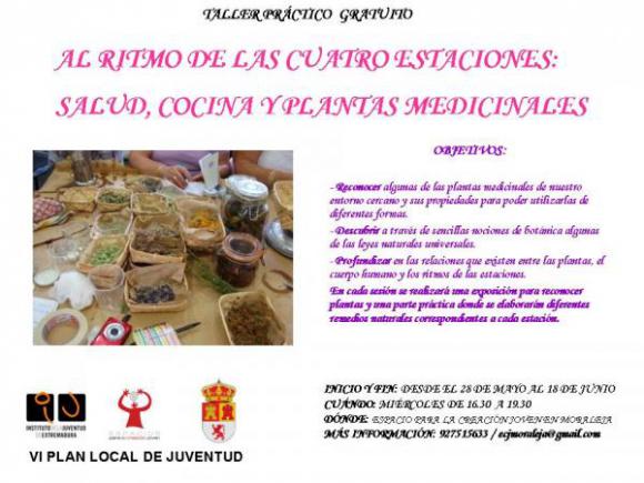 TALLER PRÁCTICO DE PLANTAS SILVESTRES. AL RITMO DE LAS CUATRO ESTACIONES: SALUD, COCINA  Y PLANTAS 
