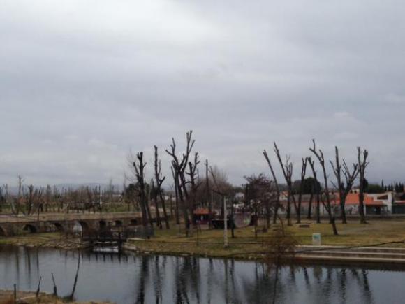 EL AYUNTAMIENTO DE MORALEJA ACOMETE TRABAJOS PARA LA MEJORA Y MANTENIMIENTO DEL ARBOLADO