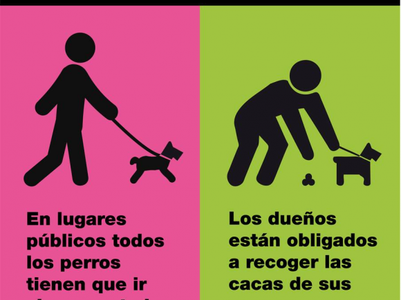 TU PERRO, TU RESPONSABILIDAD