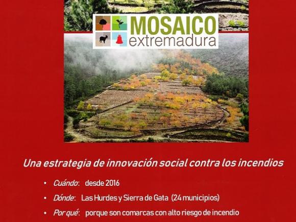UNA ESTRATEGIA DE INNOVACIÓN SOCIAL CONTRA LOS INCENDIOS