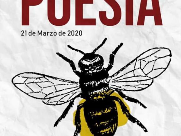 MORALEJA DESDE TU VENTANA