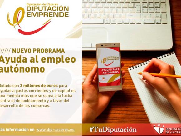 DIPUTACIÓN EMPRENDE