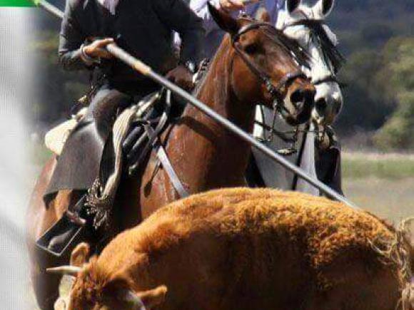 SUSPENDICO EL “XXXIX CAMPEONATO DE EXTREMADURA DE ACOSO Y DERRIBO Y TENTADERO A CAMPO ABIERTO SUSPENDICO EL “XXXIX CAMPEONATO DE EXTREMADURA DE ACOSO Y DERRIBO Y TENTADERO A CAMPO ABIERTO