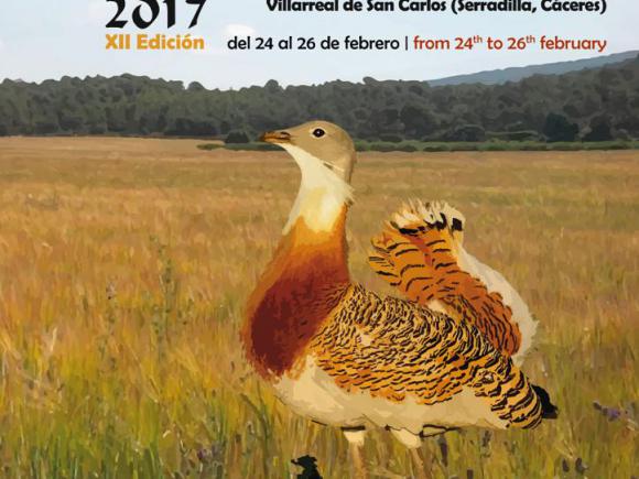 Moraleja de nuevo en FIO