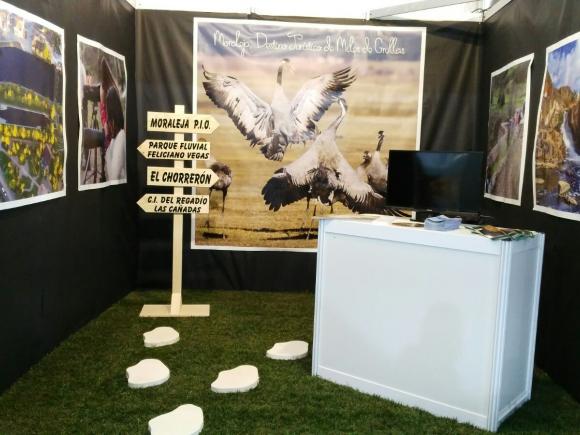 MORALEJA EN FIO 2018