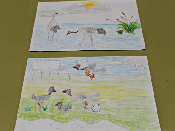 GANADORES/AS CONCURSO DE DIBUJO INFANTIL LAS GRULLAS