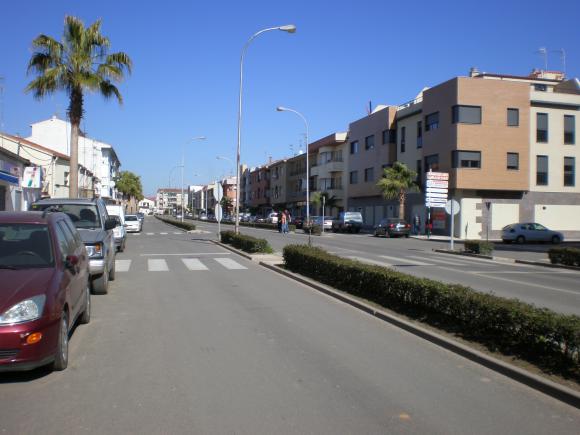 PODA DE PALMERAS EN AV /LUSITANIA