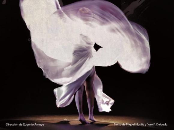 REPRESENTACIÓN TEATRAL ADULTOS,  "VIOLETA"