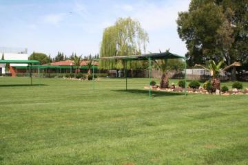 NUEVO CÉSPED PARA LA PISCINA MUNICIPAL DE MORALEJA