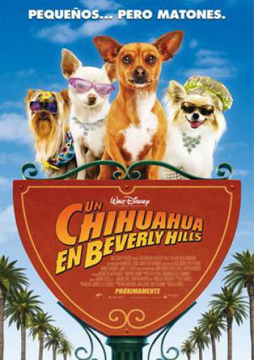 Un CHIHUAHUA EN BEVERLY HILLS se proyectará en Moraleja