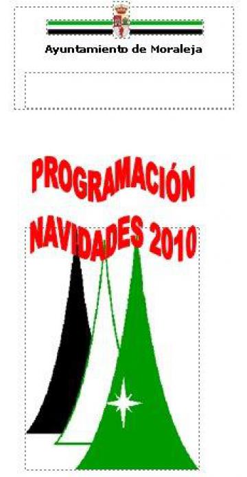PROGRAMA NAVIDAD 2010