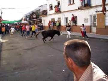 foto fiesta 1 de mayo