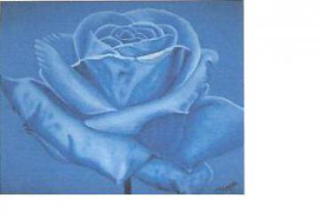 EXPOSICIÓN DE PINTURA, NATURALEZA, CON TEMAS "FLORAL Y CANTOS"