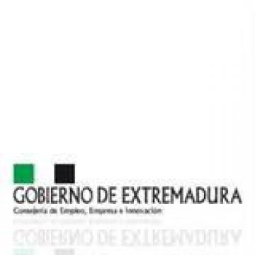 SUBVENCIONES PARA EL FOMENTO DE LA CONTRATACIÓN DE JOVENES TITULADOS EN EXTREMADURA