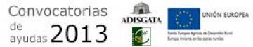 CONVOCATORIA AYUDAS LEADER 2013