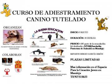 CURSO DE ADIESTRAMIENTO CANINO TUTELADO