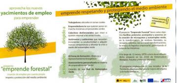 CURSO DE BIOMASA GRATUITO DIRIGIDO A AUTÓNOMOS Y TRABAJADORES POR CUENTA AJENA