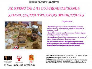 TALLER PRÁCTICO DE PLANTAS SILVESTRES. AL RITMO DE LAS CUATRO ESTACIONES: SALUD, COCINA  Y PLANTAS 