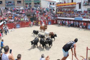 MORALEJA PRESENTE EN LA FERIA DEL TORO DE OLIVENZA 