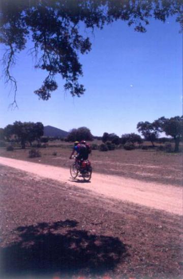 SUBASTA LOTES DEHESA BOYAL