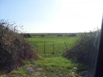 SEGUNDA SUBASTA DE LOTES DE LA DEHESA BOYAL