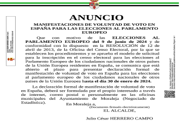 MANIFESTACIONES DE VOLUNTAD DE VOTO EN ESPAÑA PARA LAS ELECCIONES AL PARLAMENTO EUROPEO