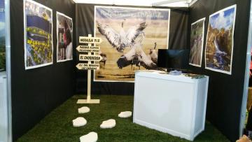 MORALEJA EN FIO 2018