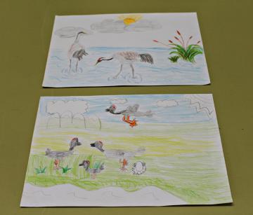 GANADORES/AS CONCURSO DE DIBUJO INFANTIL LAS GRULLAS