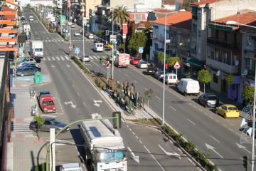 LABORES DE PODA EN LA AVENIDA PUREZA CANELO