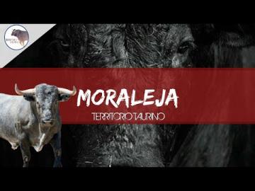 SERVICIO DE ORGANIZACIÓN Y EXPLOTACIÓN DE LOS ESPECTÁCULOS TAURINOS A CELEBRAR EN MORALEJA DURANTE EL MES DE OCTUBRE DE 2021